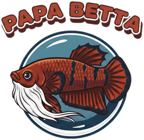 Papa Betta
